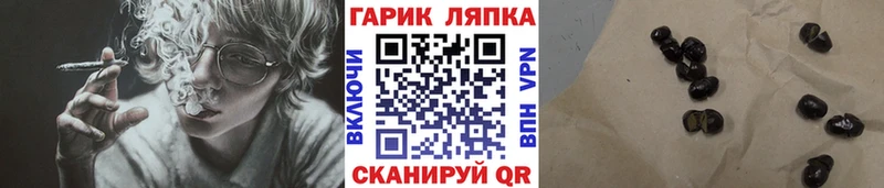 ГАШ hashish ОМГ ОМГ как зайти Камышлов что такое
