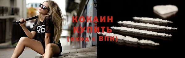 соль ск Абаза