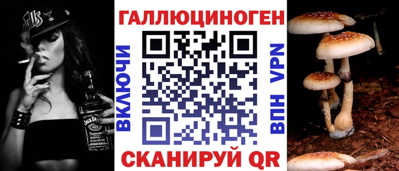 закладка  блэк спрут маркетплейс  Галлюциногенные грибы ЛСД  Камышлов 